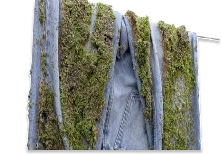 Eco-friendly Jeans