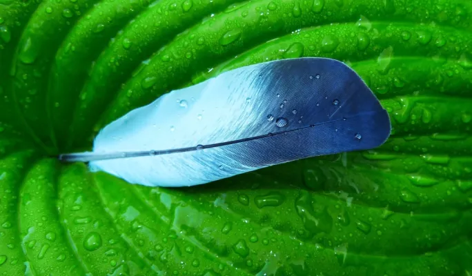 Sustainable Jeans